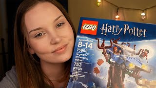 ASMR Building A Lego Set 35 Hours Harry Potter [upl. by Ahseim]