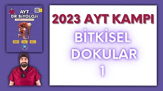 Bitkisel Dokular1 AYT Biyoloji Kampı Konu Anlatımı 12Sınıf 2024 Tayfa [upl. by Anavoig]