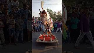 Ghoda Dance 2019 [upl. by Raymund]