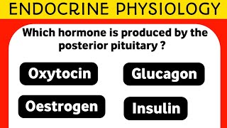 ENDOCRINE PHYSIOLOGY MCQs [upl. by Gussie]