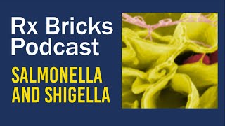 Salmonella and Shigella [upl. by Nifled]