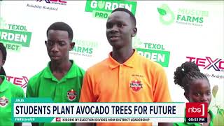 Texol Garden Project Launches in Jinja [upl. by Cinimod484]