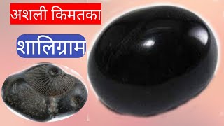 अशली शालिग्राम  An Arginal Shaligram  s3vlogs [upl. by Nivan347]