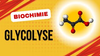 Biochimie  Glycolyse [upl. by Eamanna18]