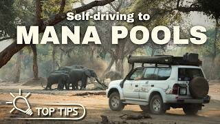 Selfdriving to MANA POOLS  Everything you need to know [upl. by Annua]