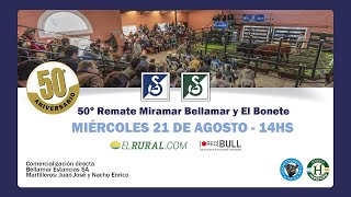 🔴REMATE EN VIVO  50º Remate Miramar  BELLAMAR Y EL BONETE [upl. by Ahsetal]