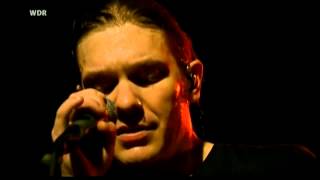 Shinedown Simple Man Live [upl. by Hailahk501]