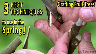 Grafting Fruit Trees  The 3 BEST Grafting Techniques for SPRING [upl. by Gagnon161]