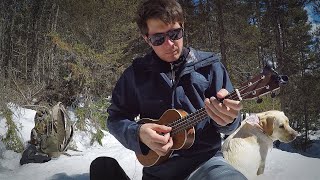 Erik Langelier  In Too Deep SUM 41 UKULELE COVER [upl. by Maxwell]