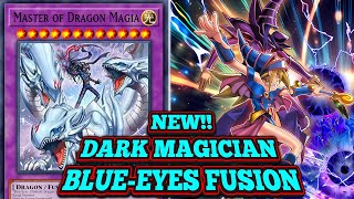 NEW BlueEyes Dark Magician Fusion MASTER OF DRAGON MAGIA • YUGIOH OCG TCG [upl. by Asinet]