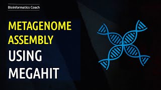 Metagenomics Assembly using Megahit [upl. by Learrsi212]