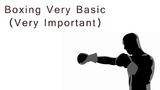 Basics in Boxing [upl. by Bea]