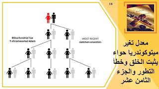 معدل تغير ميتوكوندريا حواء يثبت الخلق وخطأ التطور والجزء الثامن عشر [upl. by Ellata402]