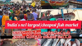 kasimedu Fish market In chennai cheapest fish market safaviews [upl. by Atteuqaj]