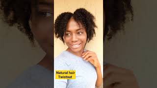 Twistout on natural hair howtostylenaturalhair naturalhairtwist hairstyle twistout [upl. by Ellecrag]