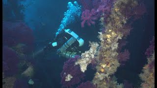 Wreck Diving Sardinië okt 2024 [upl. by Adar]