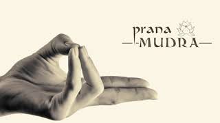 11 Basic Mudras You Need To Know And The Philosophy Behind Them [upl. by Lledal]