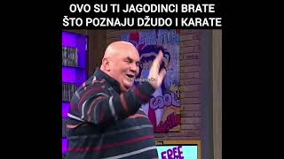 Goci Bend  Ovo su ti Jagodinci brate što poznaju džudo i karate  Gara Uzivo  Amig Show [upl. by Jennica]