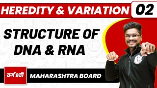 HEREDITY amp VARIATION 02  Structure of DNA amp RNA  Biology  Class 9thMaharashtra Board [upl. by Koeninger]