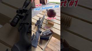 Subsonic Velocity 190gr 308 Speed Test HOPMunitions [upl. by Llemhar]