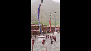 The Hemis Festival of Ladakh  Indias Mega Festivals  Premiering 17th June 8 PM  NatGeoIndia [upl. by Fatsug500]