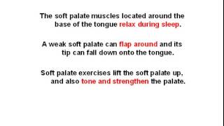 Sleep Apnea Exercises How Orofacial Exercises Can Cure Your Sleep Apnea in 20 Minutes a Day [upl. by Buford]