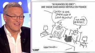 Les dessins 14 février 2015 On nest pas couché ONPC [upl. by Aiciruam829]