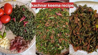 Kachnar Banane Ka Tarika  kachnar keema recipe  Bauhinia Variegata Recipe  Jim Foods [upl. by Erdnaxela884]