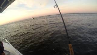 Fishing Barnegat Inlet  CTR [upl. by Attayek]