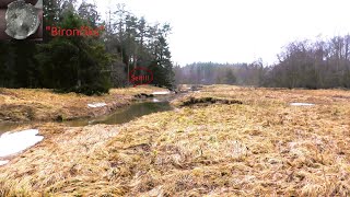 Atradumi ar mežu apstādītos laukosFindings in fields planted with forest [upl. by Regdor]