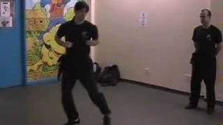 Wing Chun Kicking Form [upl. by Llekram313]