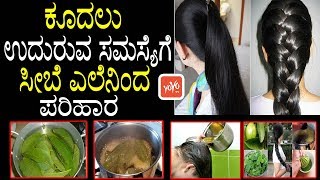 ಕೂದಲು ಉದುರುವ ಸಮಸ್ಯೆಗೆ ಸೀಬೆ ಎಲೆನಿಂದ ಪರಿಹಾರ   Guava Leaves For Hair Growth in Kannada Health [upl. by Airalav]