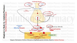 GPAT Exclusive Antidote for Organophosphorus Poisoning  Atropine Mechanism of Action as Antidotes [upl. by Elvin]