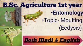 Moulting Ecdysis  Entomology  Explained in both hindi amp English [upl. by Kaila965]