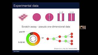 ESMTB colloquium Ruth Baker University of Oxford October 30 2024 [upl. by Sillihp5]