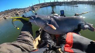 Winter Kayak Catfishing [upl. by Eusoj]