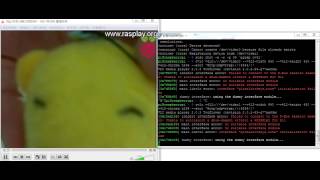 VLC RTSP Streaming on the Raspberrypi [upl. by Ydospahr]