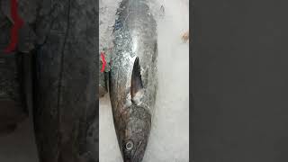 போலியான வஞ்சரம் மீன் ஆ  How to Find Original Seer Fish  Innaikku Enna Tips [upl. by Ecar]