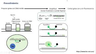 Droplet digital PCR ddPCR [upl. by Bekki]