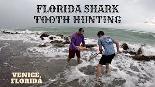 Florida Shark Tooth Hunting  Caspersen Beach and Sharkys Pier Venice FL [upl. by Melodie]