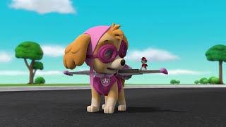 Thanks Skye  Paw Patrol [upl. by Whitney998]