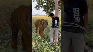 Sher ne le li jan 👹🙏🐍 shorts comedy emotional comedyvideos funny shortvideos [upl. by Waers]