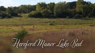 Hereford Manor Lake Beds Zelienople PA 2020 [upl. by Eneryc]