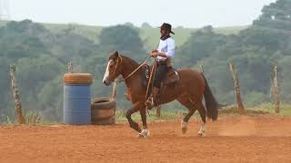 LOTE 07 EL BARQUERO 103 CADDIS [upl. by Asselem]