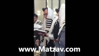 Rabbi Shaya Levin Names His Grandson After His Son Ari zl [upl. by Amliv]