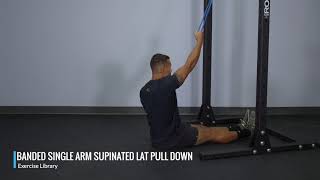 Banded Single Arm Supinated Lat Pulldown  OPEX Exercise Library [upl. by Otsirave]