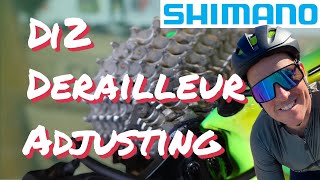 How to Adjust Shimano Di2 Electronic Gears amp Rear Derailleur  Remove that Horrible Clicking [upl. by Esinyl]