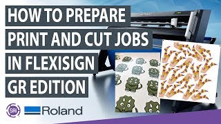 How to Prepare Print and Cut Jobs in FlexiSIGN GRedition [upl. by Placia]