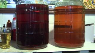 How to Make Hard Cider at Home with Fresh or StoreBought Cider [upl. by Johiah]