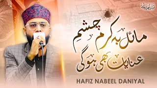 Kalam  E  Wasif Ali Wasif  Mail Ba Karam  Beautiful Voice Of Hafiz Nabeel Daniyal  Tasleemyaat [upl. by Wexler387]